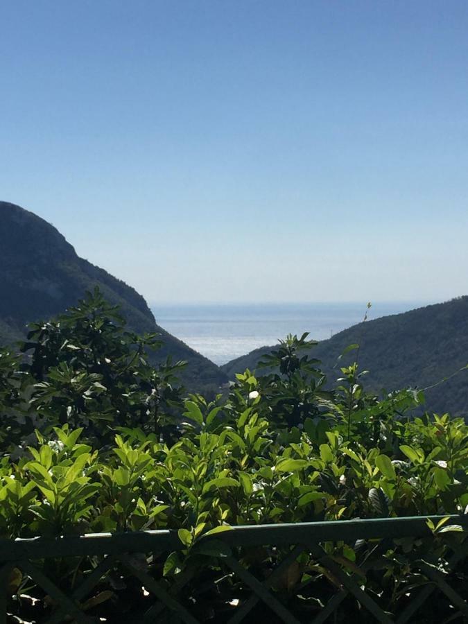 Villa Fernanda Cava deʼ Tirreni Dış mekan fotoğraf